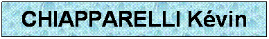Zone de Texte: CHIAPPARELLI Kvin
 
