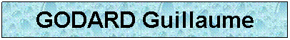 Zone de Texte: GODARD Guillaume
 
