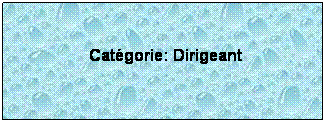 Zone de Texte:  
 Catgorie: Dirigeant
 
 
 
 
