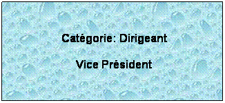 Zone de Texte:  
 Catgorie: Dirigeant
 Vice Prsident
 
 
 
