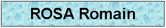 Zone de Texte: ROSA Romain
 
