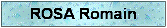 Zone de Texte: ROSA Romain
 
