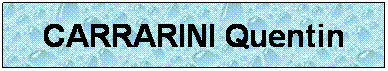 Zone de Texte: CARRARINI Quentin

