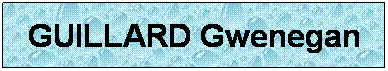 Zone de Texte: GUILLARD Gwenegan
