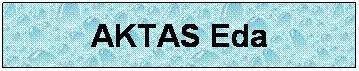Zone de Texte: AKTAS Eda
