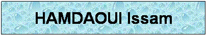 Zone de Texte: HAMDAOUI Issam
