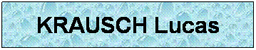 Zone de Texte: KRAUSCH Lucas
