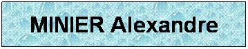 Zone de Texte: MINIER Alexandre
