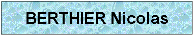 Zone de Texte: BERTHIER Nicolas
