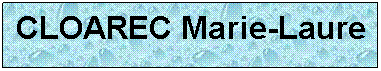Zone de Texte: CLOAREC Marie-Laure
 
