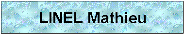 Zone de Texte: LINEL Mathieu
