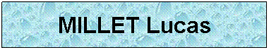 Zone de Texte: MILLET Lucas
 
