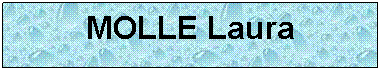 Zone de Texte: MOLLE Laura
 
