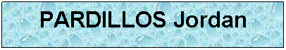 Zone de Texte: PARDILLOS Jordan
 
