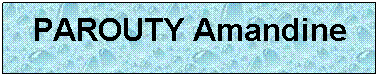 Zone de Texte: PAROUTY Amandine
 
