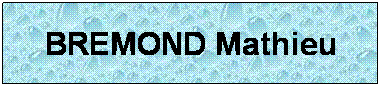Zone de Texte: BREMOND Mathieu
