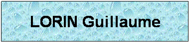 Zone de Texte: LORIN Guillaume
